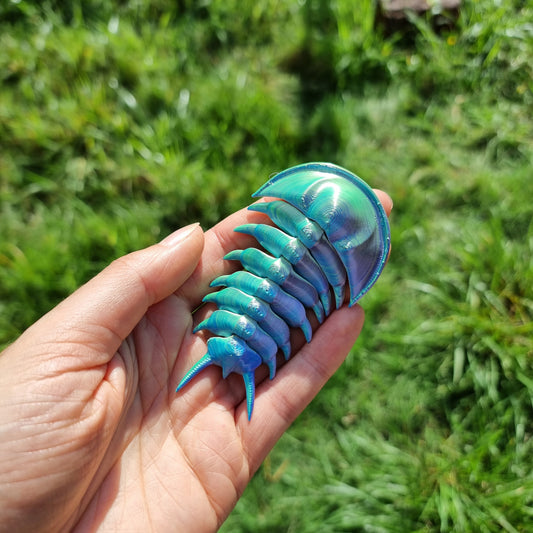 Trilobites - Flexible Articulated Fidget Creature