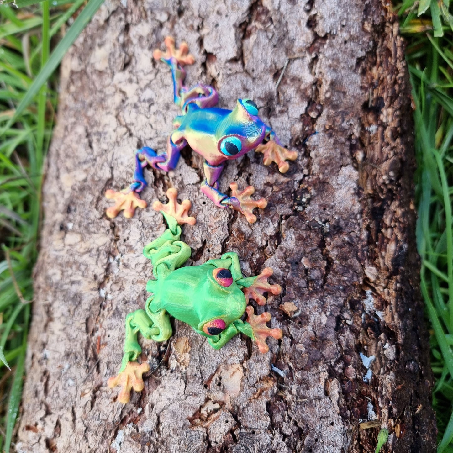 Frogs - Articulated Fidget Nature Toy