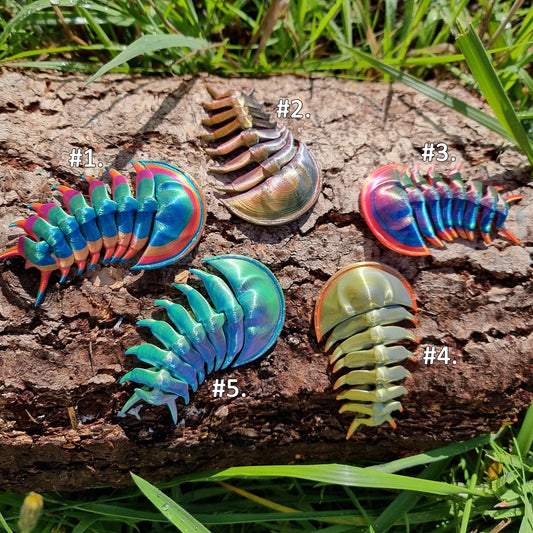 Trilobites - Flexible Articulated Fidget Creature